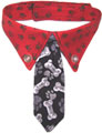 dog necktie