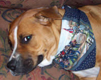 Confederate and Rebel Flag dog bandanas